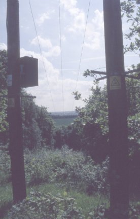 Glade under power lines